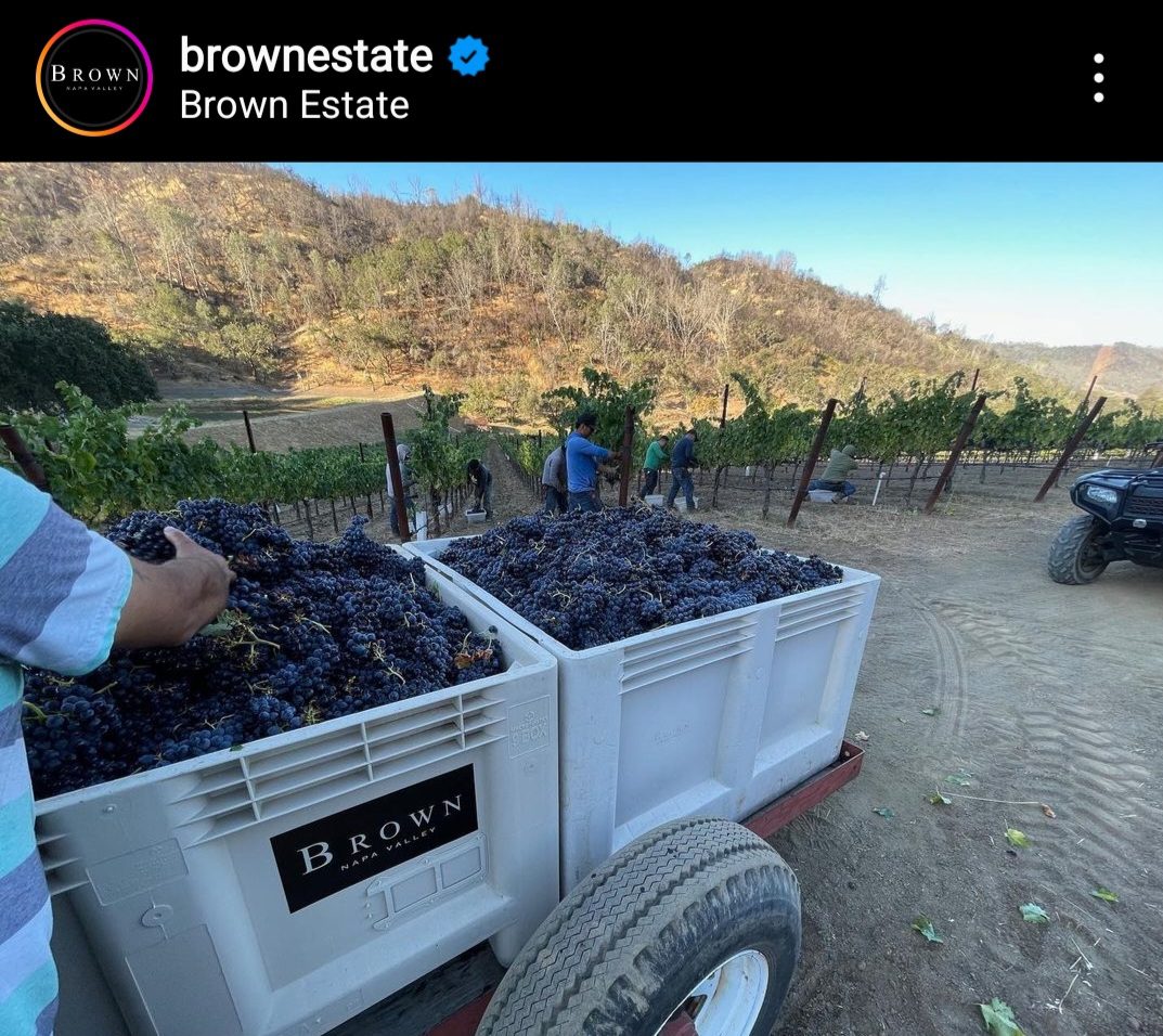 Screenshot 20230320 124708 Instagram