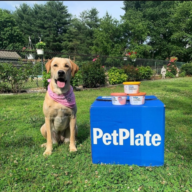 Screenshot 20230111 153825 Instagram 768x768