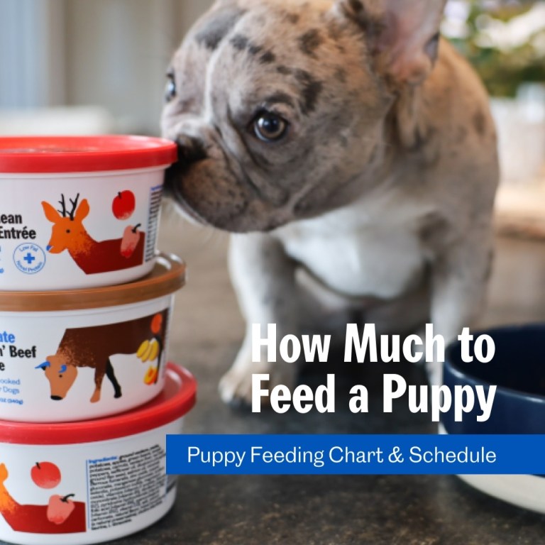 Screenshot 20230307 092212 Instagram 768x768