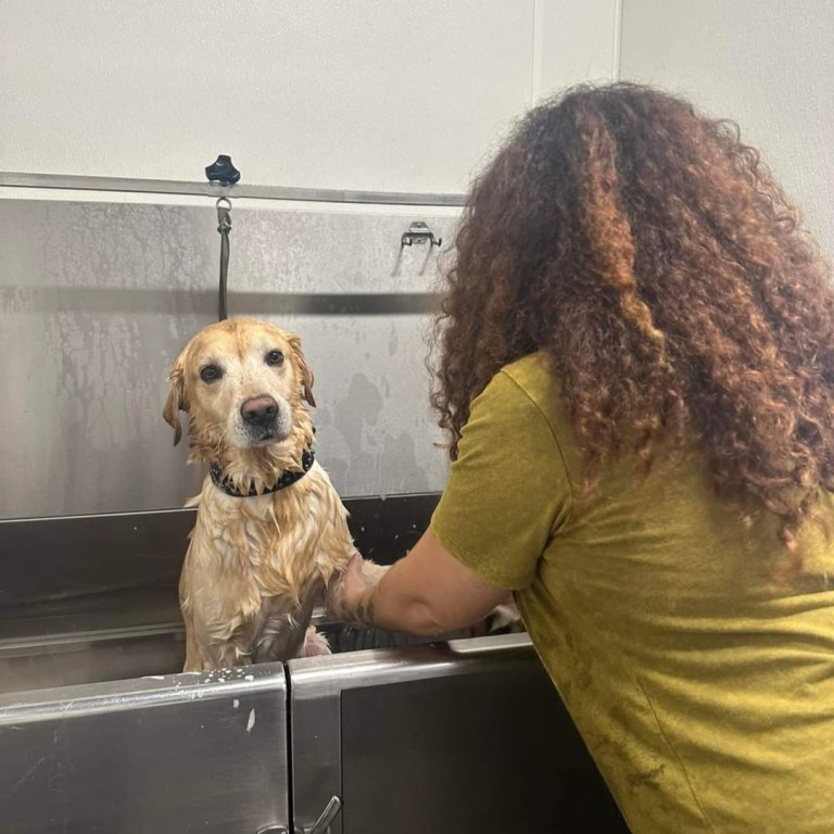 received 1070041767892057 768x768