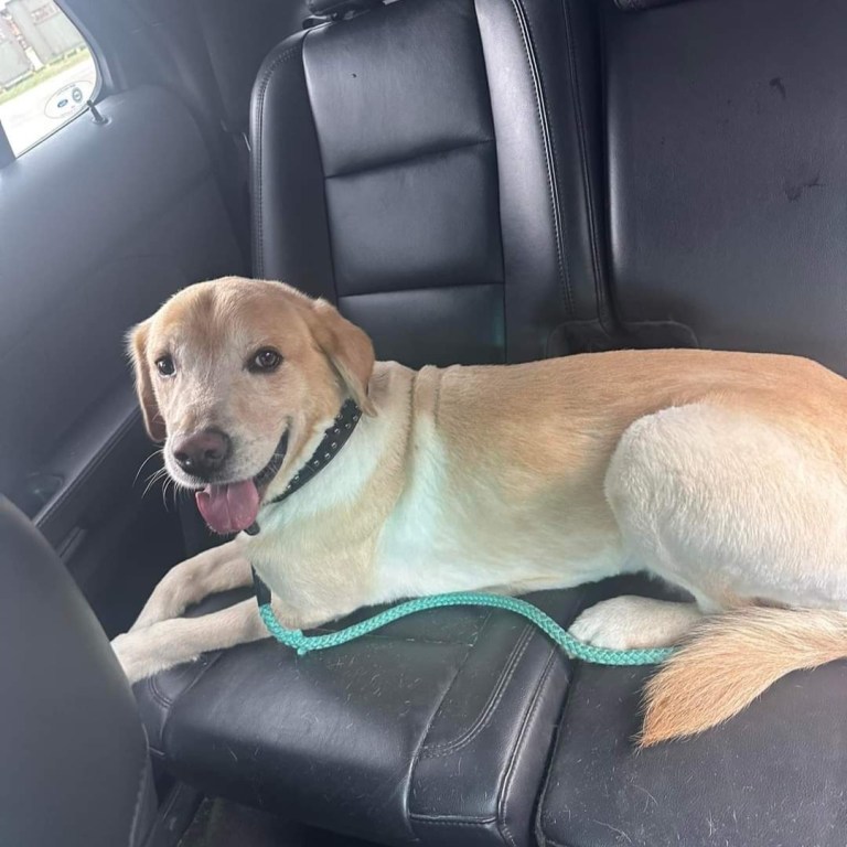 received 1580386309499255 768x768